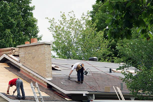 Best Storm Damage Roof Repair  in Taylorsville, UT